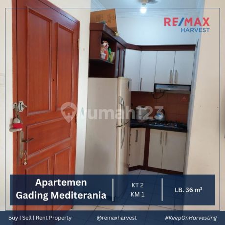 Apartemen Mediterania Kelapa Gading Residence Dijual Murah Apartemen Mediterania Kelapa Gading Residence Dijual Murah