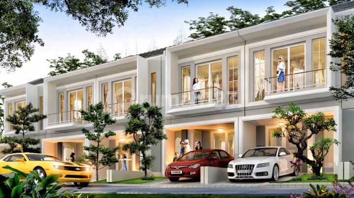 Mirabilis in Green Orchid Mirabilis in Green Orchid