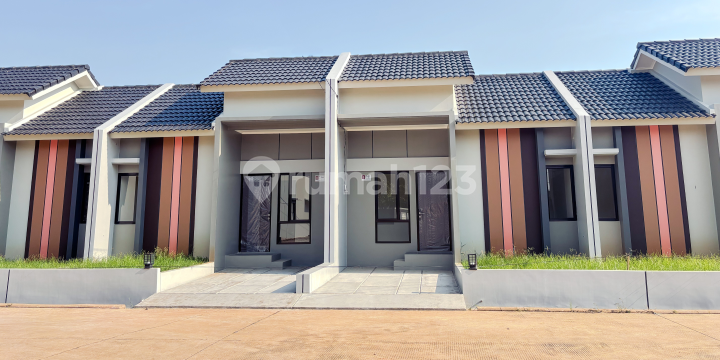 New Sweet Hortensia-2 di Harvest City