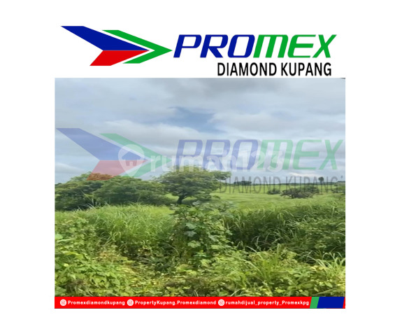 Di Jual Tanah Super Murah Area Rss Oesapa Lokasi Strategis Kota Kupang Ntt