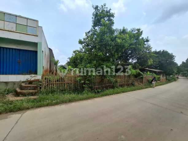 Tanah Kebun Purwadadi.subang Tanah Kebun Purwadadi.subang