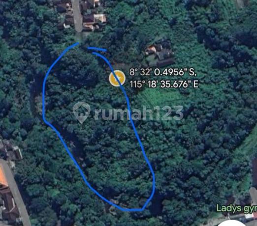 Land for Sale in Bitera, Gianyar, Bali, Suitable for Villas, Yellow Zone Area.