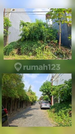 Murah Tnh Kav Siap Bangun Di Perum Koala Regency Sby Murah Tnh Kav Siap Bangun Di Perum Koala Regency Sby