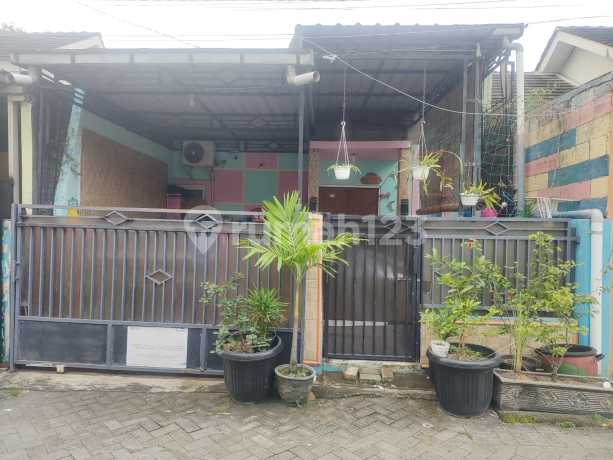 Rumah Murah Graha Naila Sumput Driyorejo Gresik Rumah Murah Graha Naila Sumput Driyorejo Gresik