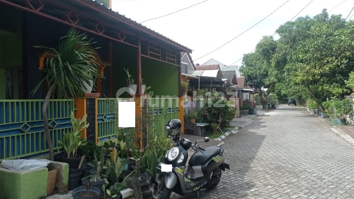 Hunian 2 Lantai Taman Krakatau Furnis Cluster Riverside