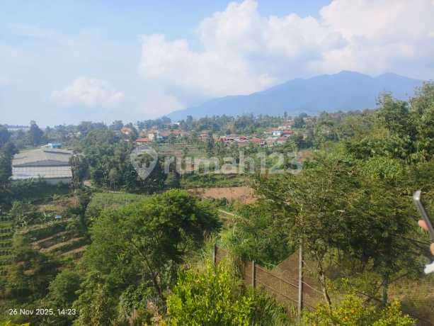 Tanah Perkebunan di Kolonel Masturi Lembang