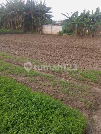 Dijual Lahan Kering Siap Bangun Dekat Perumahan Villa Anggrek Dijual Lahan Kering Siap Bangun Dekat Perumahan Villa Anggrek