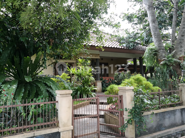 Rumah Asri Baranangsiang Indah Bogor Timur Halaman Luas Siap Huni Rumah Asri Baranangsiang Indah Bogor Timur Halaman Luas Siap Huni