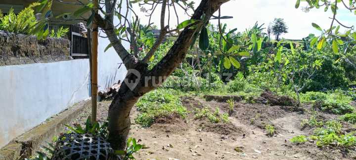 Di Jual Sebidang Tanah Siap Di Bangun di Jl. Trenggana No. 1, Penatih, Denpasar Timur, Kota Denpasar, Bali, Indonesia, 80238, Penatih