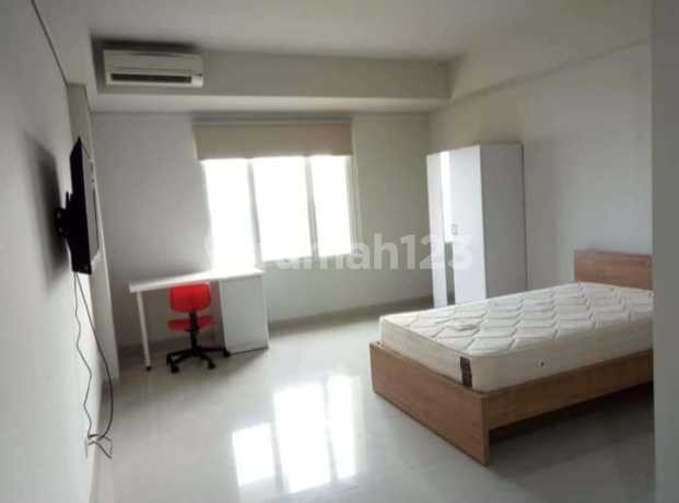 Apartemen Studio Beverly 90210 Furnished