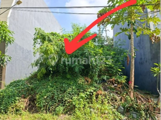 Dijual Cepat Tanah Harga Termurah Koala Regency Surabaya Dijual Cepat Tanah Harga Termurah Koala Regency Surabaya