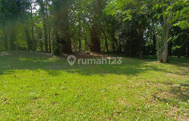 Kavling Premium Murah di Taman Tirta Golf Serpong 