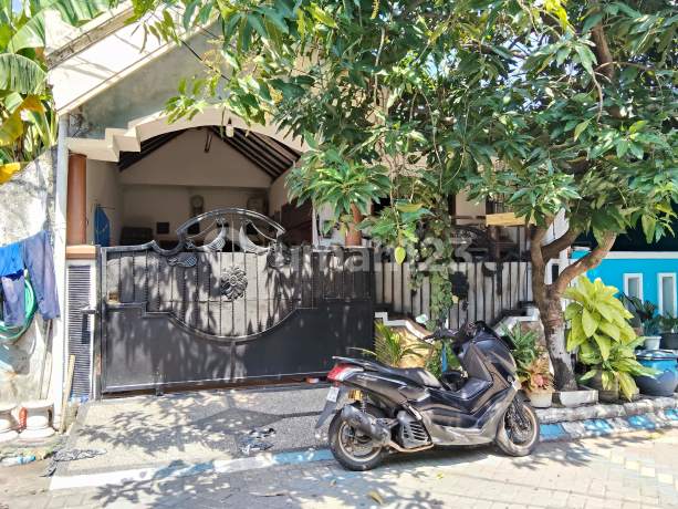 Dijual Via Lelang Rumah Perum Citra Surya Mas Sidoarjo Dijual Via Lelang Rumah Perum Citra Surya Mas Sidoarjo