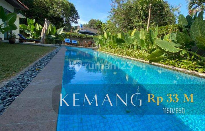 Kemang House Bergaya Resort 