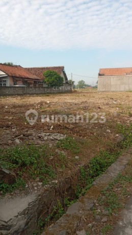 Tanah Kavling Ciceri Permai Tengah Kota Serang Tanah Kavling Ciceri Permai Tengah Kota Serang
