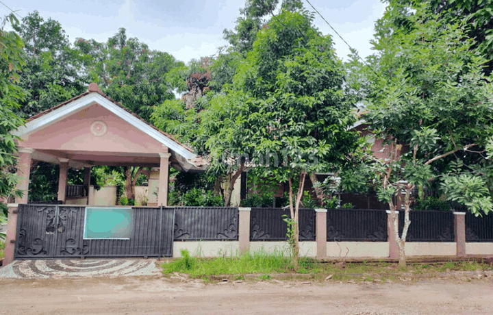 Hunian Bagus Taman Graha Asri Lahan Luas