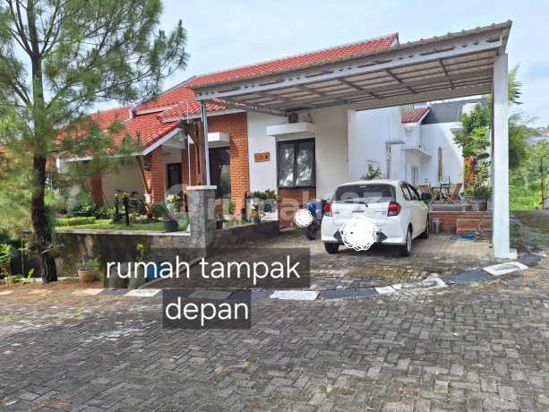 Dijual Rumah Siap Huni Tanah Luas di Cluster Villa Pinus Banyumanik Dijual Rumah Siap Huni Tanah Luas di Cluster Villa Pinus Banyumanik