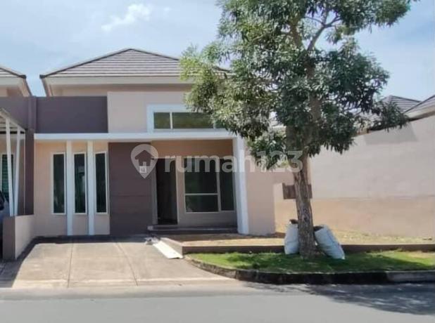 Cluster Citrine 90/188 Cluster Citrine 90/188