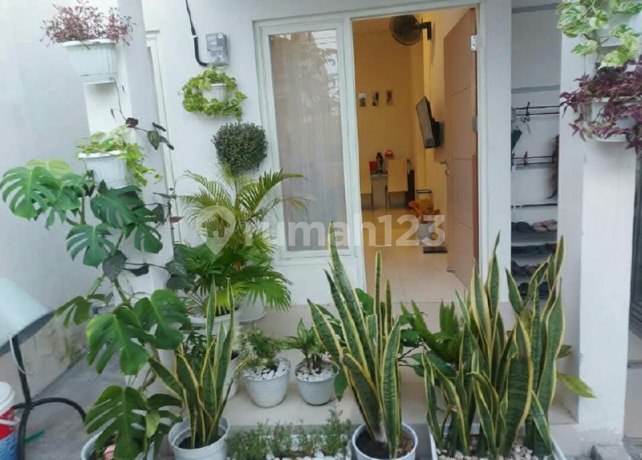 Rumah Dijual Surabaya Rumah Dijual Area GRAHA SURYANATA Rumah Dijual Surabaya Rumah Dijual Area GRAHA SURYANATA