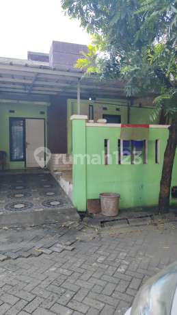 Dijual Cepat Rumah 1lt Di cibubur Mansion Siap Huni Dijual Cepat Rumah 1lt Di cibubur Mansion Siap Huni