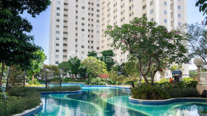 For Rent: Educity Tower Yale Apartment, Pakuwon City, East Surabaya For Rent: Educity Tower Yale Apartment, Pakuwon City, East Surabaya