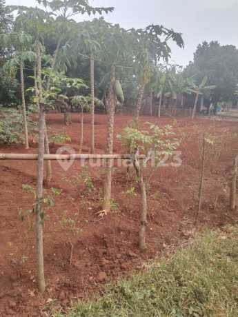 Dijual Tanah Bagus Di Griya Pratama Mas,taman Rahayu, Setu Bekasi Dijual Tanah Bagus Di Griya Pratama Mas,taman Rahayu, Setu Bekasi