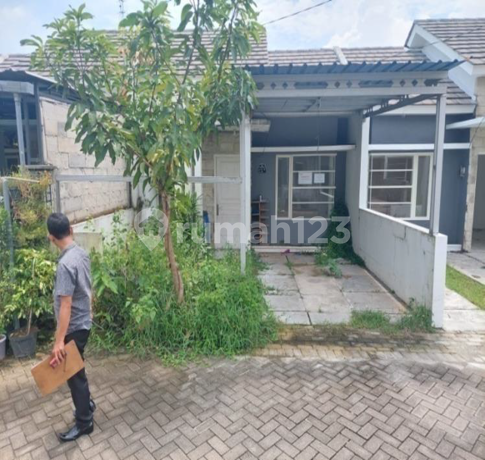 Rumah Minimais, Bagus dan Murah di Daerah Gresik
