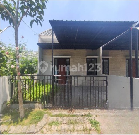 Rumah Bagus, Murah dan Dekat Jalan Tol di Kedamean Gresik Rumah Bagus, Murah dan Dekat Jalan Tol di Kedamean Gresik