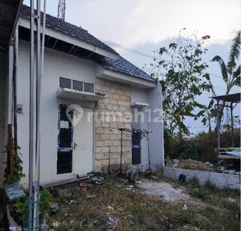 Rumah Murah Bagus Dekat Jalan Tol Lokasi Gresik Kedamean Rumah Murah Bagus Dekat Jalan Tol Lokasi Gresik Kedamean