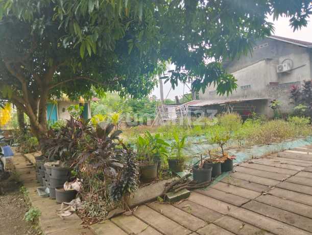 Dijual Kavling Tanah Kosong Untuk Di Bangun Guest House Di Perumahan Alam Parung Cibentang Ciseeng Kabupaten Bogor Dijual Kavling Tanah Kosong Untuk Di Bangun Guest House Di Perumahan Alam Parung Cibentang Ciseeng Kabupaten Bogor