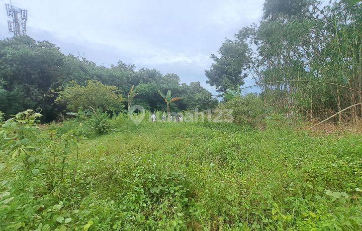 Tanah Kavling Permata Cileungsi, Legalitas Sudah SHM, Cicilan dengan Bunga 0%
