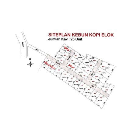Di Jual Kavling Strategis Lokasi Kebun Kopi Di Jual Kavling Strategis Lokasi Kebun Kopi