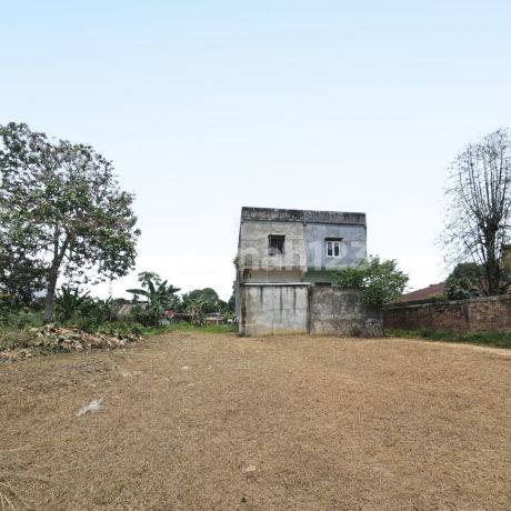 Dijual Murah Tanah Kebun Kopi Kota Jambi