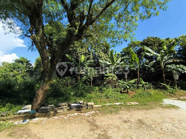 Tanah Cocok untuk Usaha di Batan Indah Tangerang Selatan Tanah Cocok untuk Usaha di Batan Indah Tangerang Selatan