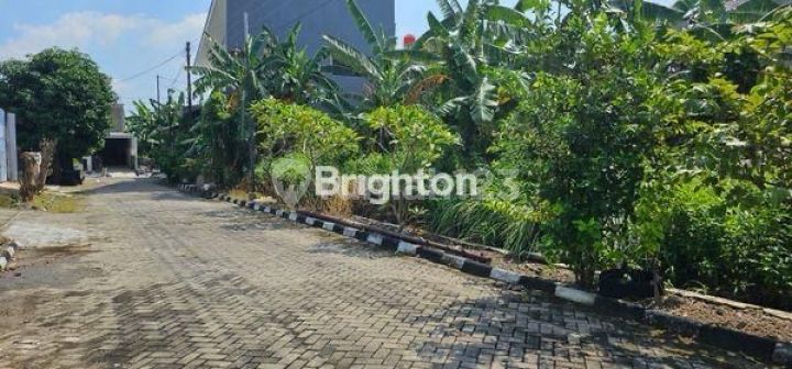 Tanah Murah Lokasi Elite Taman Majapahit Pedurungan Semarang Tanah Murah Lokasi Elite Taman Majapahit Pedurungan Semarang