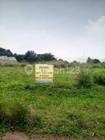 Dijual Kavling Tanah di Cluster Lembah Padi Utara Telaga Kahuripan cocok untuk bangun rumah atau budidaya tanaman Hidroponik Dijual Kavling Tanah di Cluster Lembah Padi Utara Telaga Kahuripan cocok untuk bangun rumah atau budidaya tanaman Hidroponik