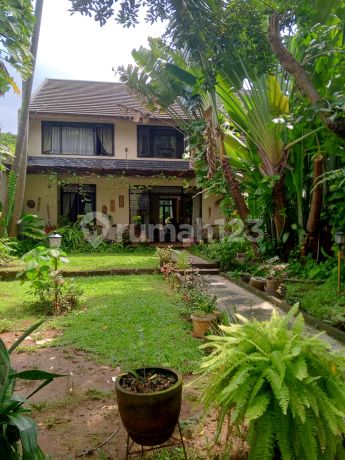 Dijual Rumah Luas, Asri, dan Sejuk di Maleo Bintaro Dijual Rumah Luas, Asri, dan Sejuk di Maleo Bintaro