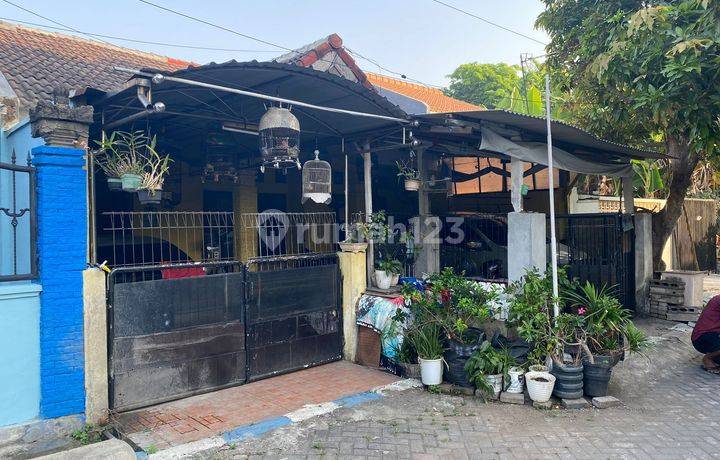 Jual Rumah Cepaat Bu Hrga Dibawah Pasaran Bumi Citra Fajar Siap Huni