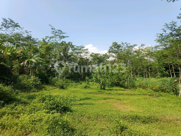 Dijual Tanah Datar Dekat Mountview Christian School Dijual Tanah Datar Dekat Mountview Christian School
