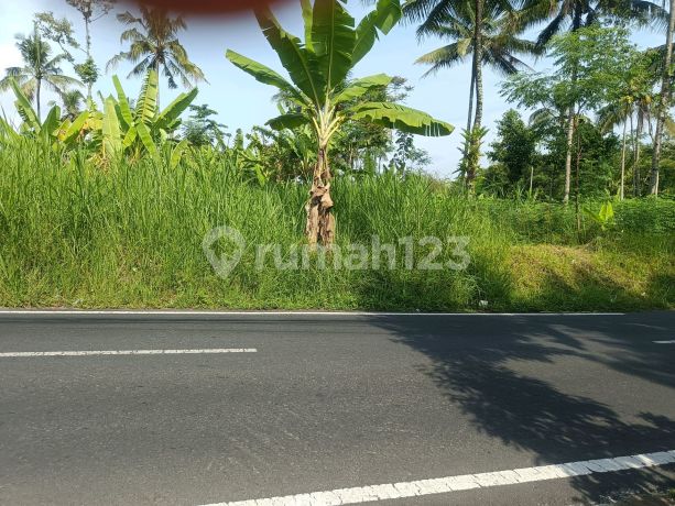 Dijual Tanah Datar Cocok untuk Perumahan Dijual Tanah Datar Cocok untuk Perumahan