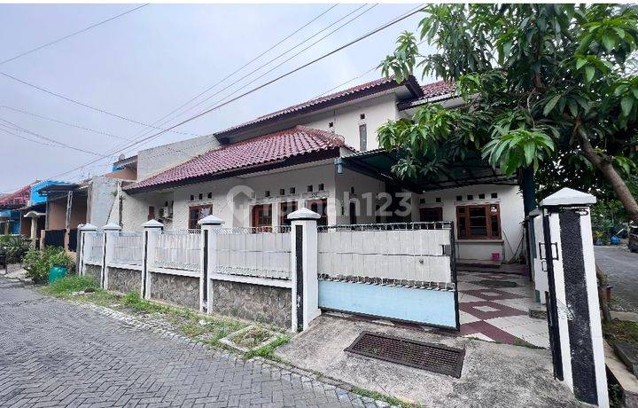 Rumah Plamongan Indah Mranggen Batursari 6 Kamar Tidur Luas 169/172