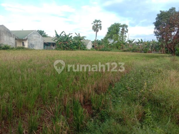 Jual Tanah Di Komp Royal Spring   Dkt Kolam Renang 