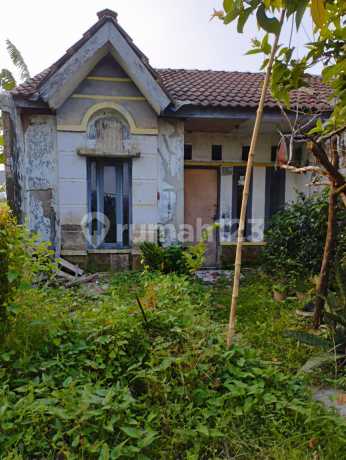 Dijual Rumah Hitung Tanah Saja di Perum Griya Tambun Utara Dijual Rumah Hitung Tanah Saja di Perum Griya Tambun Utara