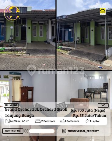 Dijual/Disewakan Rmh 1Lt Grand Orchard Tj. Bunga 700Jt Nego Vc Dijual/Disewakan Rmh 1Lt Grand Orchard Tj. Bunga 700Jt Nego Vc