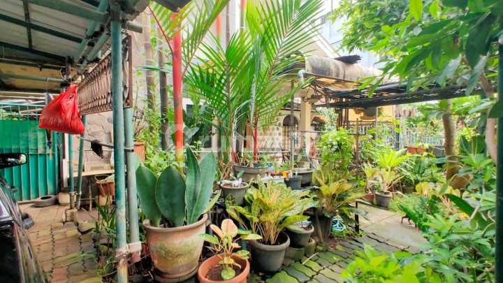 Dijual Cepat Rumah Tomang Jl. Tawakal Ujung Blok A Dijual Cepat Rumah Tomang Jl. Tawakal Ujung Blok A