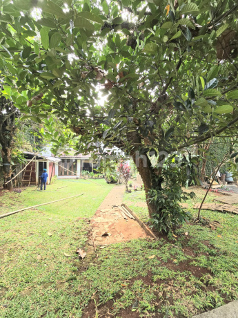 Rumah Dijual Kebun Luas Kuricang Bintaro