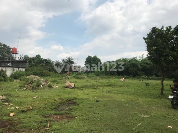 Dijual murah tanah seluas 4,400 m2 di samping Perumahan Puri Harmoni 9 cikahuripan Klapanunggal Bogor  