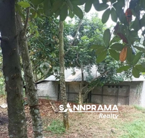 Dijual Murah Tanah Dekat Perumahan Telaga Kahuripan Parung di Tajur Halang Dijual Murah Tanah Dekat Perumahan Telaga Kahuripan Parung di Tajur Halang