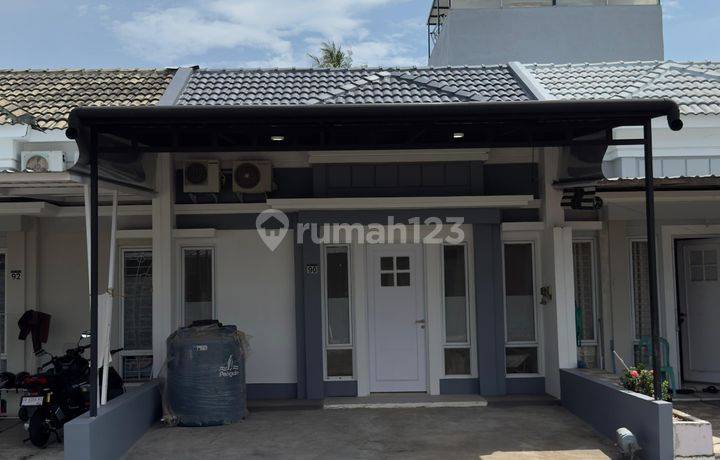 Dijual Amaryllis Siap Huni