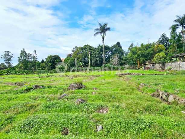 Dijual Tanah Coolibah Puncak Cipanas Dibawah Njop Dijual Tanah Coolibah Puncak Cipanas Dibawah Njop